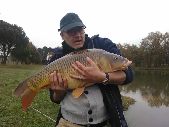 étang de pêche carpiste dordogne